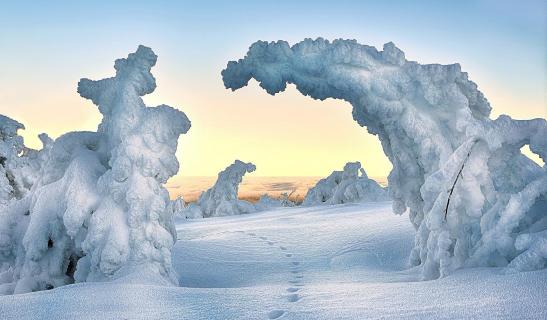 Frozen Gate