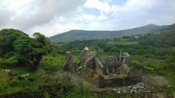 Ruine in Irland