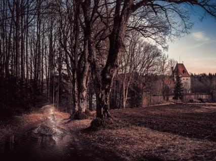 Der Wassergeist