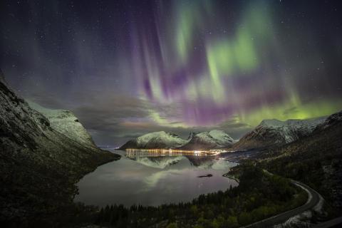 Polarlichter am Fjord