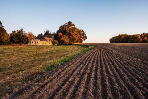 lütter herbst