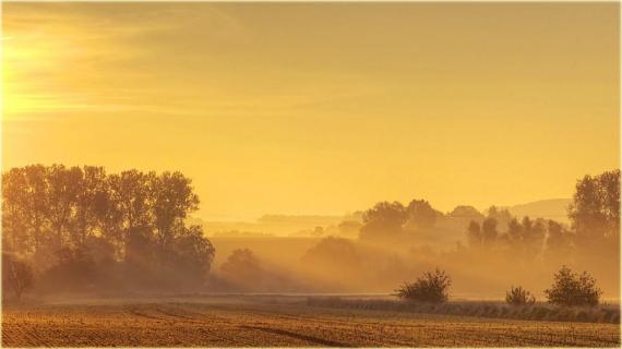 Morgennebel