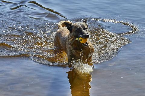 Bad im Windgfällweiher