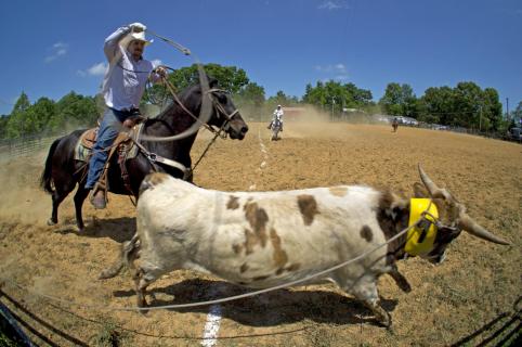 Ranch Rodeo 