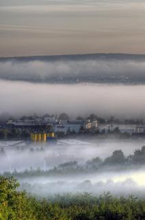 Nebel im Rheintal