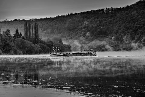 MS Tukan im Nebel auf der Mosel