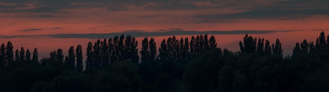 Am Aasee bei Nacht