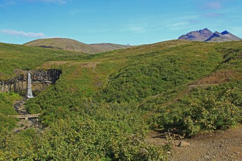 Svartifoss Wasserfall