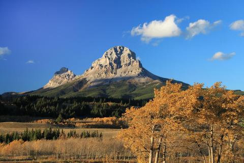 Crowsnest Mountain