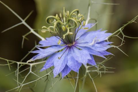 Kunst in der Natur
