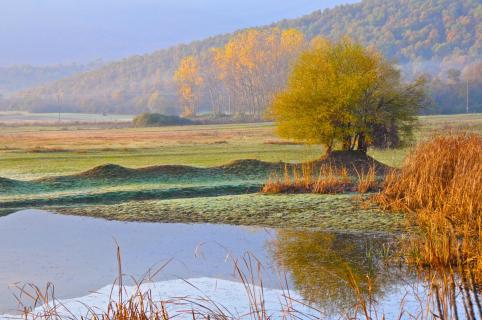 Goldener Herbst in Nord Greece