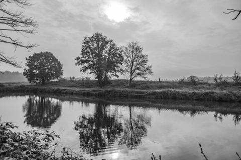 Licht hinter der Wolke