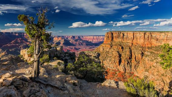 USA_Arizona_Grand Canyon_Tusayan_Klein