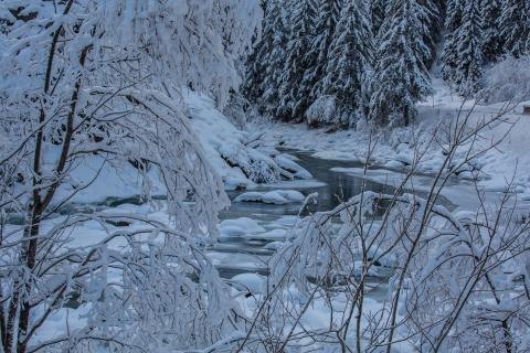 Winterzauber am Inn