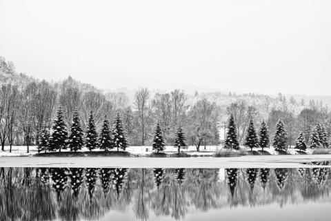 Winter am See