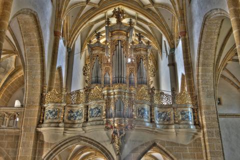 Orgel