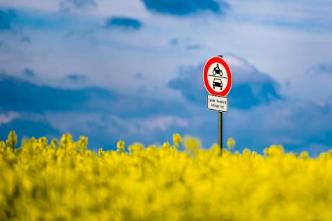 Rapsfeld mit Schild