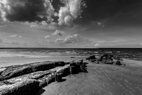 Buhne Norderney