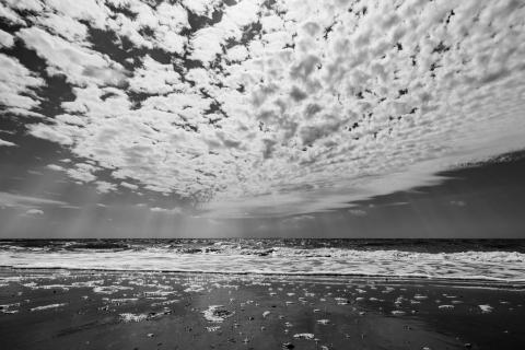 Strand Borkum