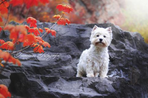 Herbst Feeling 