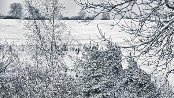 Winterland - Wunderland