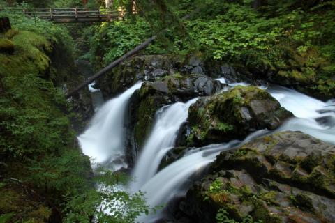 Wasserfälle im Regenwald