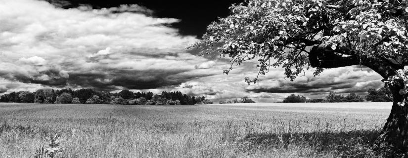 Schöne Landschaft