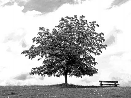 Ruheplatz