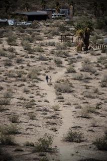 Anza Borrego 3