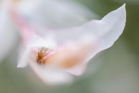Versteckt