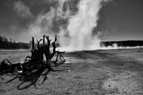 Yellowstone