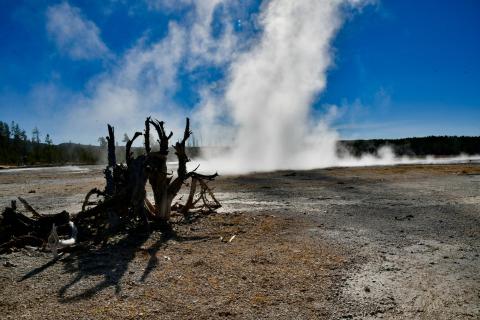 Yellowstone USA