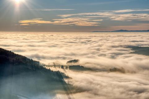 Nebelmeer in den Schwarzwaldtälern