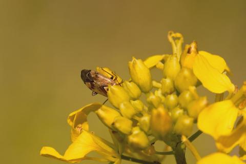 Neugieriger Blick