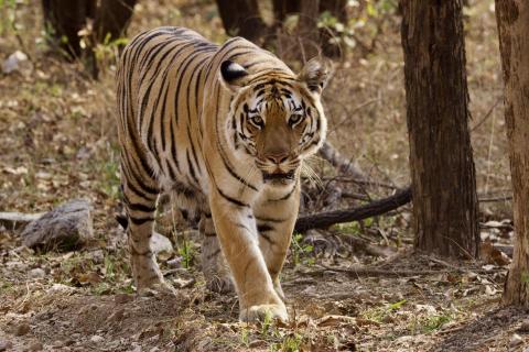 My dream came true…