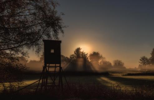 39_Herbst im Nebel_Gabi_Wurst