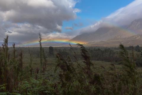 Regenbogen