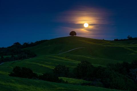 Vollmond in der Toskana