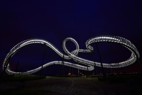 Tiger & Turtle 1