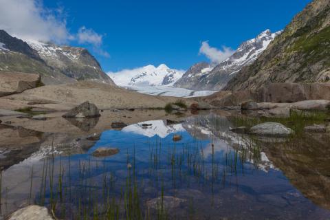 Spiegelung im Gletschersee