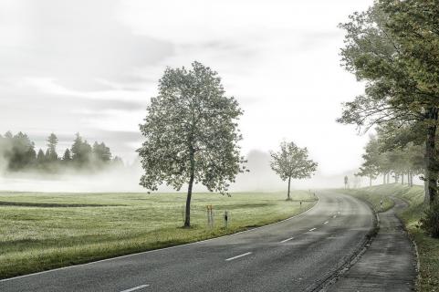 Straße im Nebel