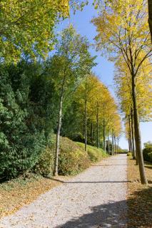 Herbstspaziergang