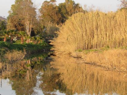 02_Wasserspiegelung_Herbstlich_Wiedemeyer_Angelika_1