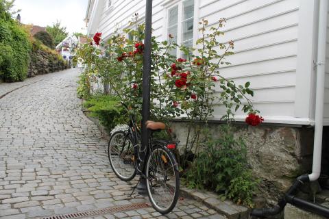 Pflastersteinstraße in der Altstadt Gamle, Stavanger