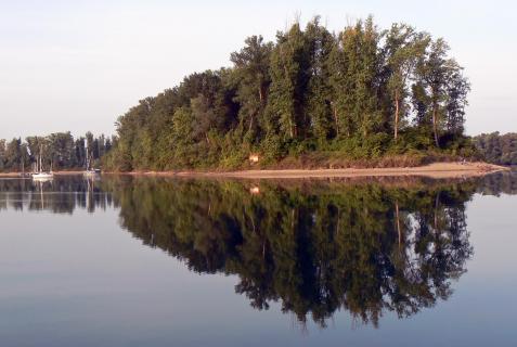 Morgens auf der Kollerinsel