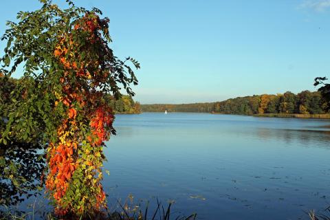 Herbst an der Havel bei Potsdam