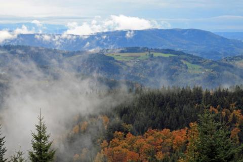 Herbstnebel 