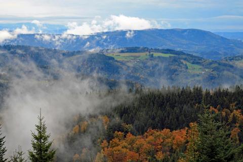 Herbst im Schwarzwald