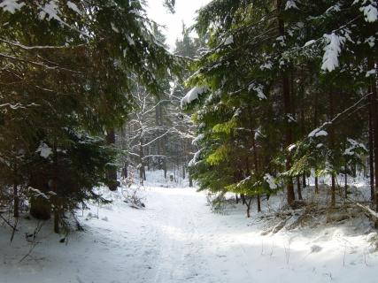 Winterwanderweg