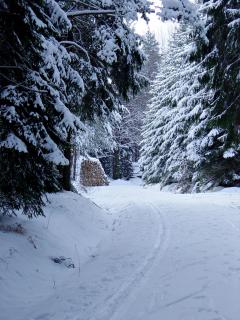 Beliebter Wanderweg